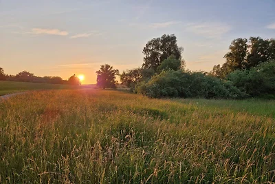 Accommodatie Vakantie op de boerderij Bleckede
