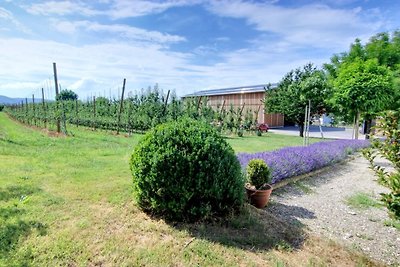 Vakantieappartement Gezinsvakantie Bodman-Ludwigshafen