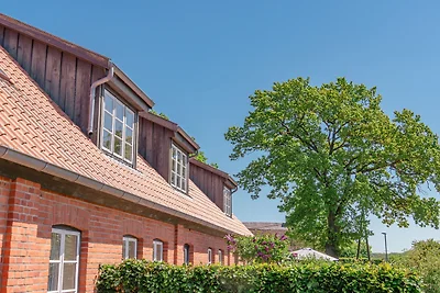 Apartament Dla rodzin Parchtitz