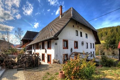 Vakantieappartement Gezinsvakantie Lenzkirch