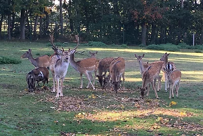 Familienhof Brüning - Stadtblick