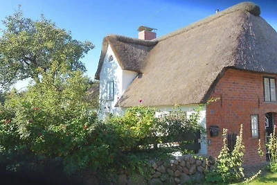 Casa vacanze Vacanza di relax Midlum