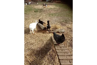 Ein Hauch von Orient