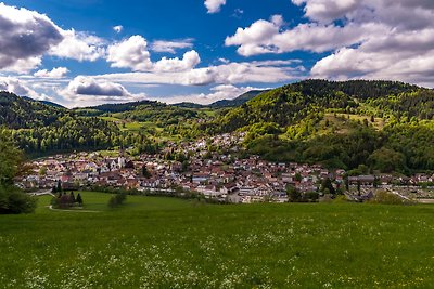 Vakantieappartement Gezinsvakantie Schönau im Schwarzwald