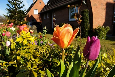 Ferienhaus im Kanalblick