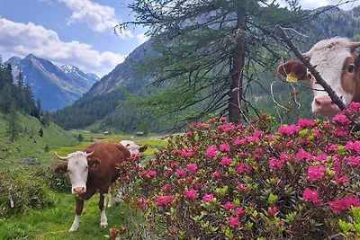 Vakantiehuis Ontspannende vakantie Außervillgraten