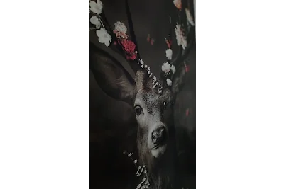 Appartamento Vacanza con famiglia Hohenwarth