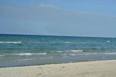 Muschelsucher - Sünnenkieker WE10