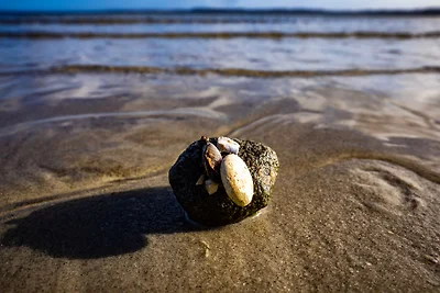 Vakantieappartement Gezinsvakantie Glücksburg