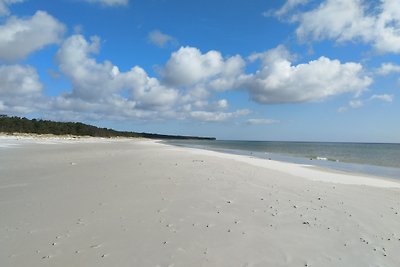 Gemütliche Wohnung in Strandnähe