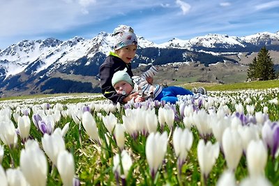 Appartamento Vacanza con famiglia Wildschönau