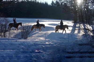 Ferienhof Gerda - Ferienwohnung