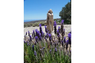 Casa Azul, Arico Viejo/ La Sabinita