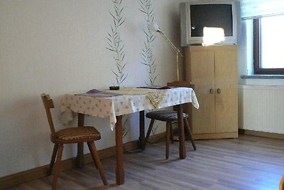 Vakantieappartement Gezinsvakantie Großhartmannsdorf