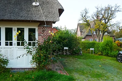 Appartamento Vacanza con famiglia Nebel