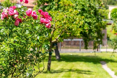 Ferienhaus Andersson