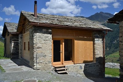 Vakantiehuis Ontspannende vakantie Vals-Valsertal