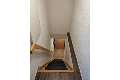 Am Wald der Sinne, Dieter