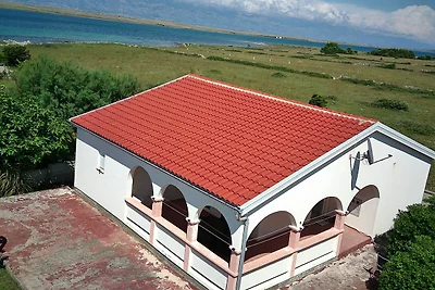 Viric DS