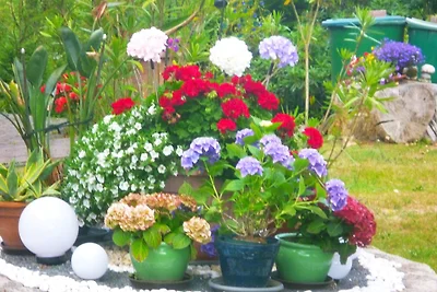 Appartamento Vacanza con famiglia Neustadt