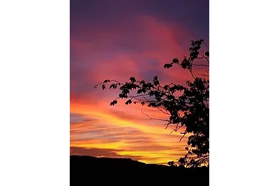 Ferienwohnung Augustin