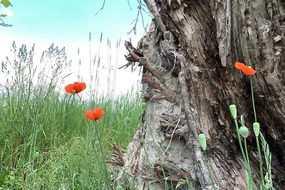 Alter Gasthof Seminar- und