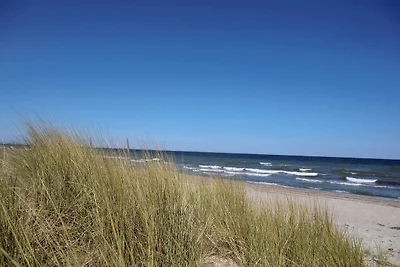 Strandliebe