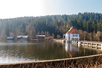 Vakantiehuis Ontspannende vakantie Waldmünchen