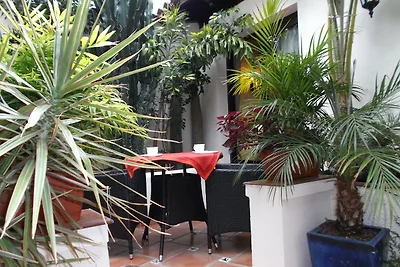 Apartamentos Monasterio de San