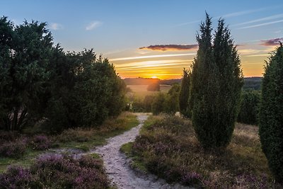 Vakantieappartement Gezinsvakantie Bispingen