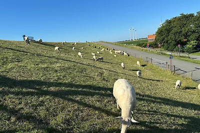 Kleine NordseePerle in Tossens mit