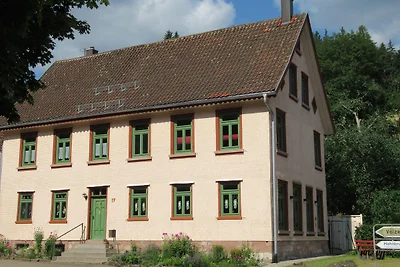 Appartamento Vacanza con famiglia Baiersbronn