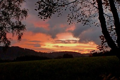 Vakantiehuis Ontspannende vakantie Biersdorf am See