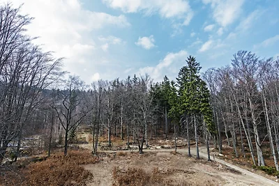 Vakantieappartement Gezinsvakantie Szklarska Poreba