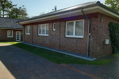 Halligweg 19 - Austernfischer Whg.8