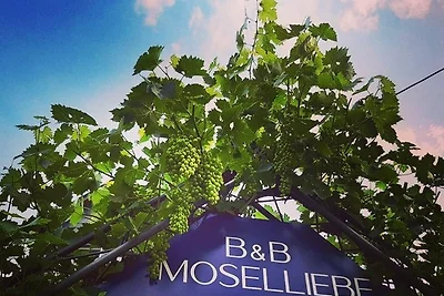 Vakantieappartement Gezinsvakantie Cochem