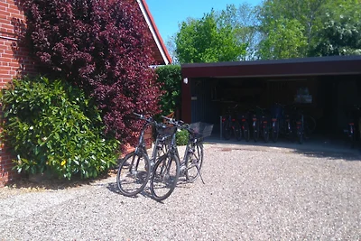 Holiday flat family holiday Burg auf Fehmarn