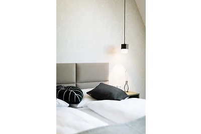 Fancy Apartment 01 - Urban Jungle