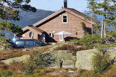 Vakantiehuis Ontspannende vakantie Telemark