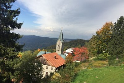 Ferienland Sonnenwald FEWO 5