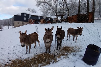 Vakantiehuis Ontspannende vakantie Schleiz