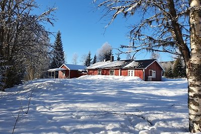 Vakantiehuis Ontspannende vakantie Torsby