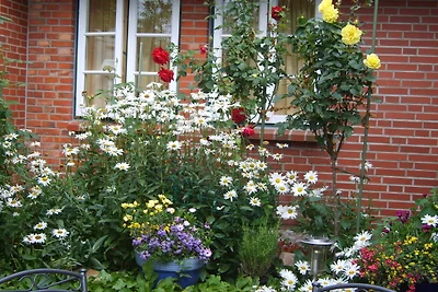 Ferien unterm Reetdach Whg 01