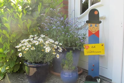 Vakantieappartement Gezinsvakantie Kellenhusen