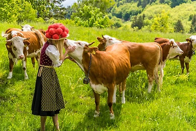 Haus Alfred, Aitern, Belchen