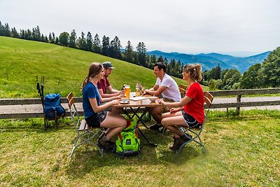 Vakantieappartement Gezinsvakantie Utzenfeld