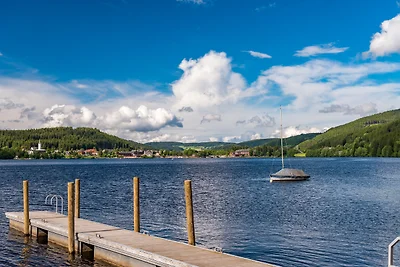 Kurhotel Schluchsee App. 1102 -