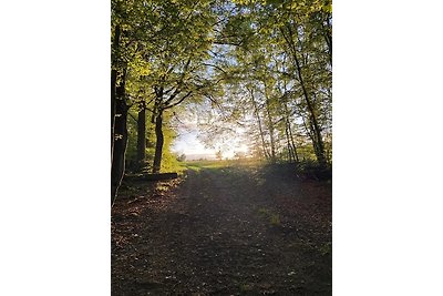 Vakantiehuis Ontspannende vakantie Gossersweiler-Stein