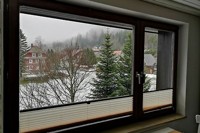 C1 Schwarzwald-Fewo an der Alb