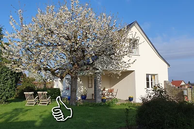 Vakantiehuis Ontspannende vakantie Laußnitz